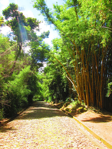 Brazil: Belo Horizonte