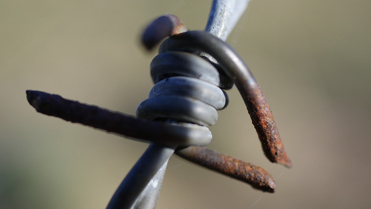 The threat of disinformation can be worse than disinformation&nbsp;itself